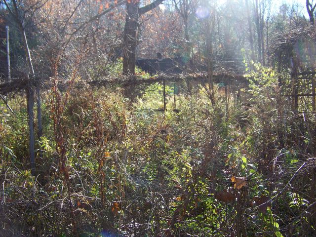 24 Gap Road, Goshen, VT 05733