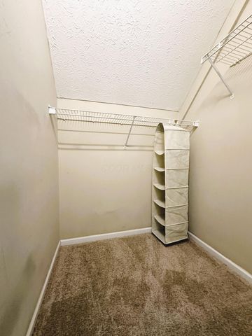 294 Lazelle Place Lane, Lewis Center, OH 43035