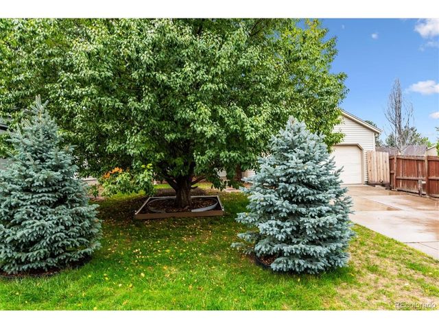17628 Junegrass Pl, Parker, CO 80134