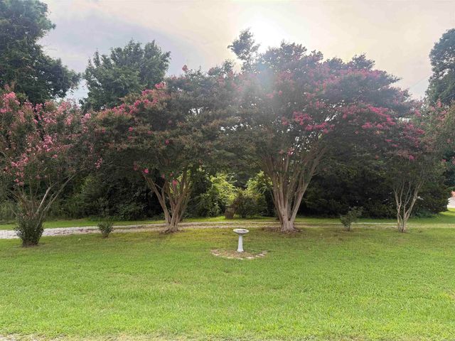 5816 Fairview Rd, Paragould, AR 72450