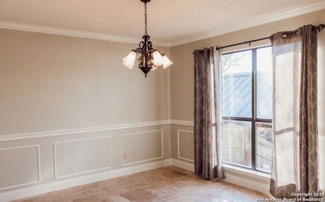 19919 Park Bluff, San Antonio, TX 78259