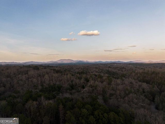 0 Delphi Hills Lane, Mccaysville, GA 30555
