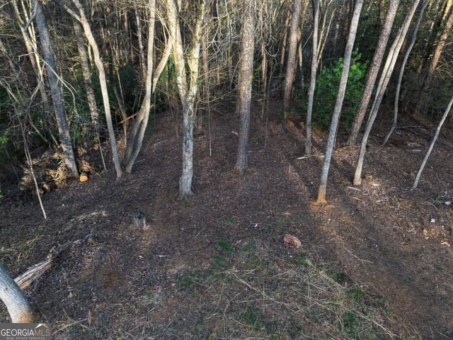 0 Delphi Hills Lane, Mccaysville, GA 30555