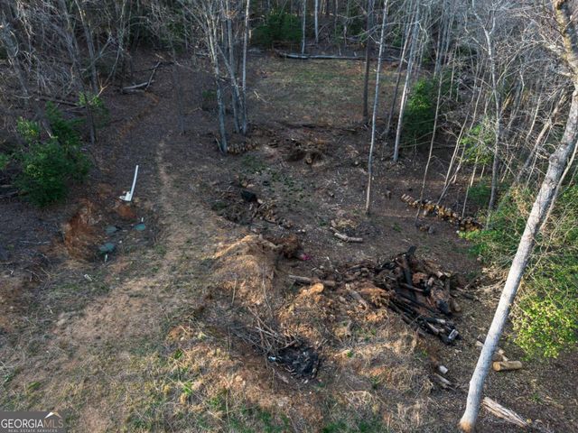 0 Delphi Hills Lane, Mccaysville, GA 30555