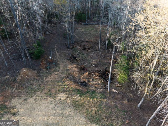 0 Delphi Hills Lane, Mccaysville, GA 30555