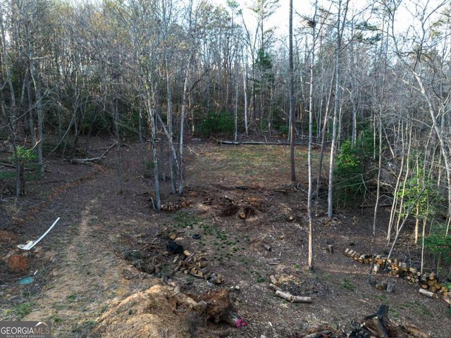 0 Delphi Hills Lane, Mccaysville, GA 30555