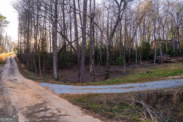 0 Delphi Hills Lane, Mccaysville, GA 30555