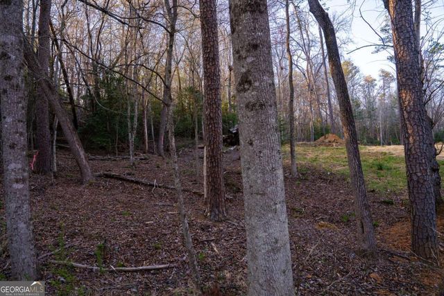 0 Delphi Hills Lane, Mccaysville, GA 30555