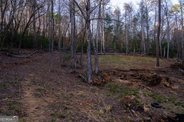 0 Delphi Hills Lane, Mccaysville, GA 30555