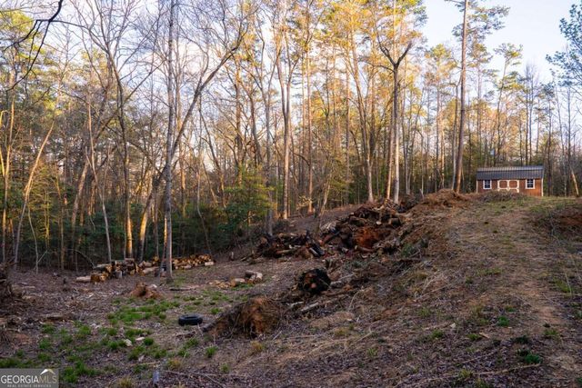 0 Delphi Hills Lane, Mccaysville, GA 30555