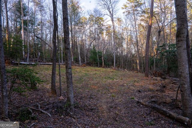 0 Delphi Hills Lane, Mccaysville, GA 30555