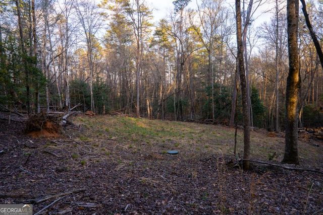 0 Delphi Hills Lane, Mccaysville, GA 30555