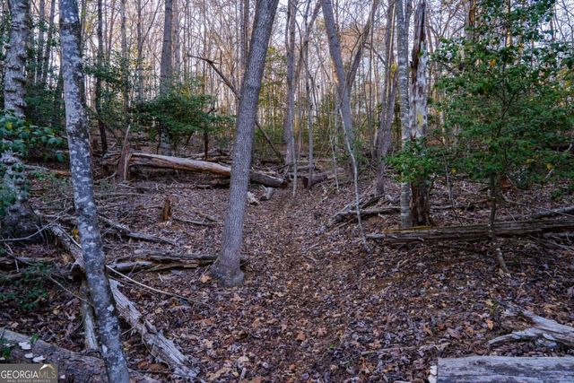 0 Delphi Hills Lane, Mccaysville, GA 30555