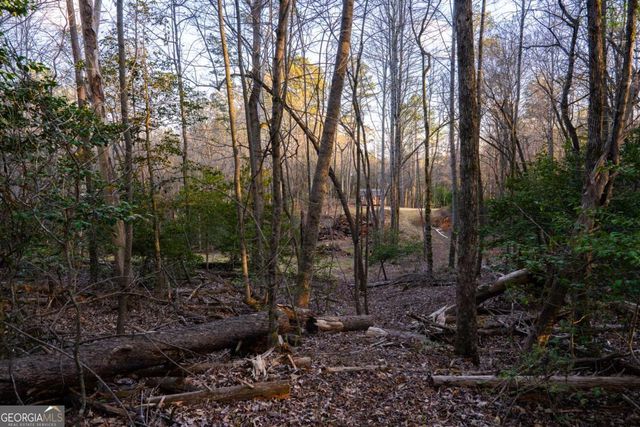 0 Delphi Hills Lane, Mccaysville, GA 30555