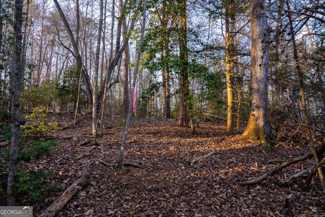 0 Delphi Hills Lane, Mccaysville, GA 30555