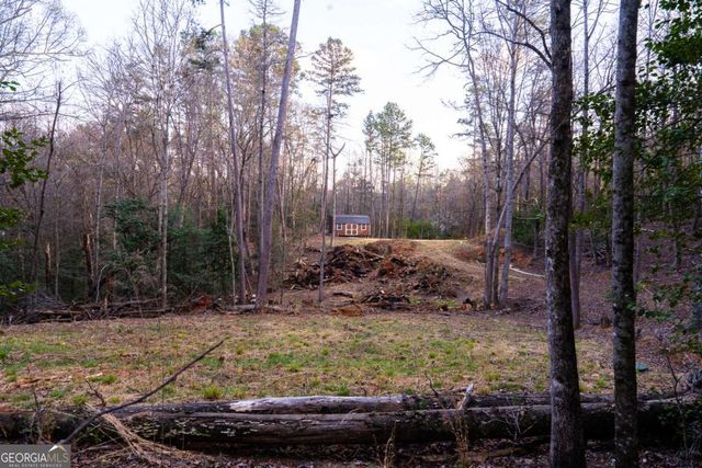 0 Delphi Hills Lane, Mccaysville, GA 30555
