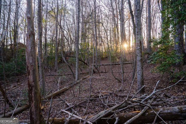 0 Delphi Hills Lane, Mccaysville, GA 30555