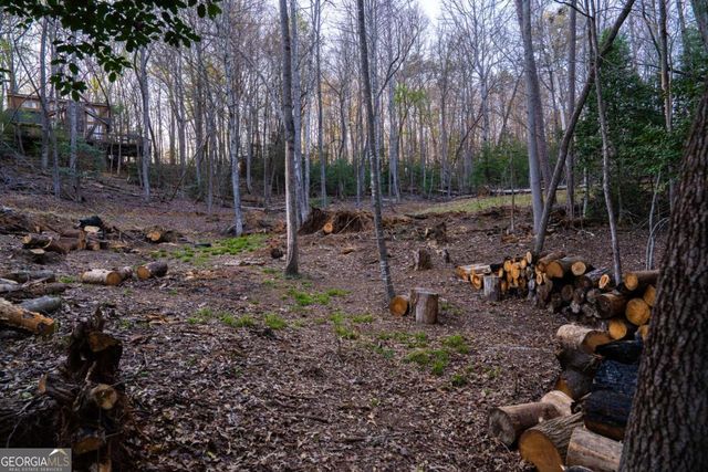 0 Delphi Hills Lane, Mccaysville, GA 30555