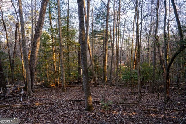 0 Delphi Hills Lane, Mccaysville, GA 30555