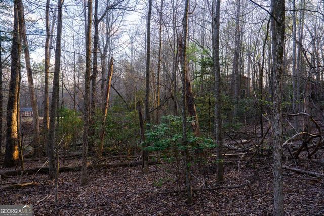 0 Delphi Hills Lane, Mccaysville, GA 30555