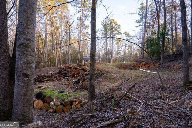 0 Delphi Hills Lane, Mccaysville, GA 30555