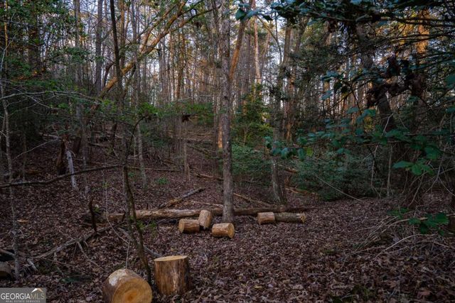 0 Delphi Hills Lane, Mccaysville, GA 30555