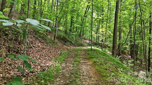 316-318 Cane Creek Mountain Road, Union Mills, NC 28167