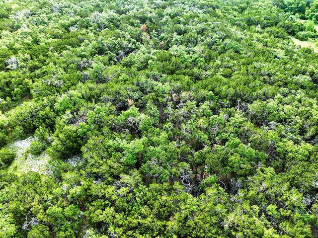 1650 S Rainbow Ranch Rd, Wimberley, TX 78676