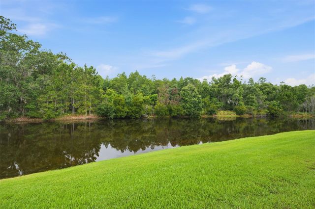 1115 KETZAL DRIVE, Trinity, FL 34655