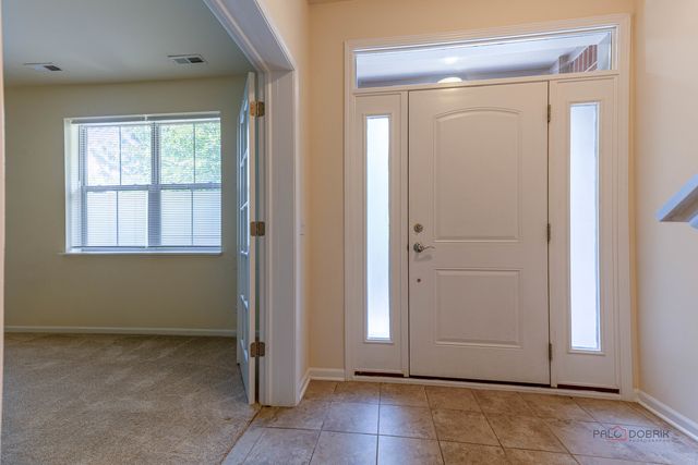 409 Alpine Springs Drive, Vernon Hills, IL 60061