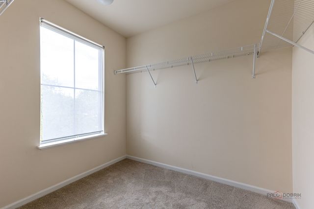 409 Alpine Springs Drive, Vernon Hills, IL 60061