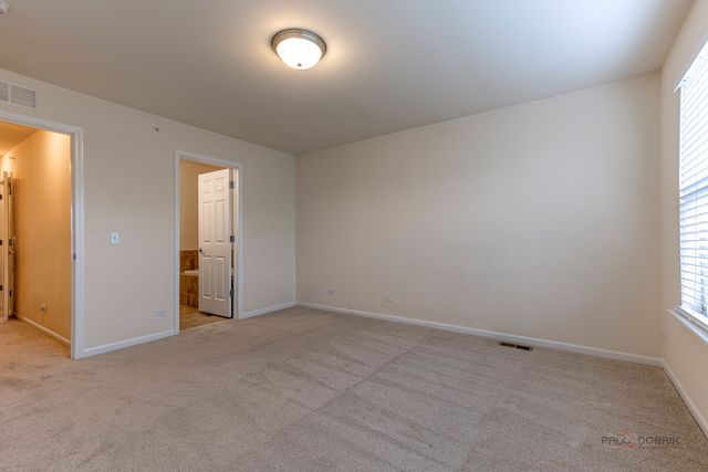 409 Alpine Springs Drive, Vernon Hills, IL 60061