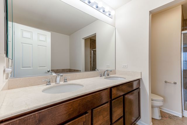 409 Alpine Springs Drive, Vernon Hills, IL 60061