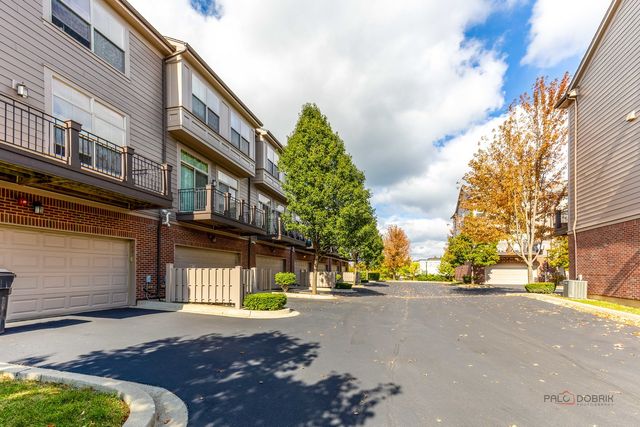 409 Alpine Springs Drive, Vernon Hills, IL 60061