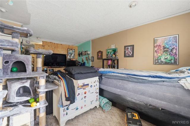 45 Crane Street, Lancaster, NY 14043