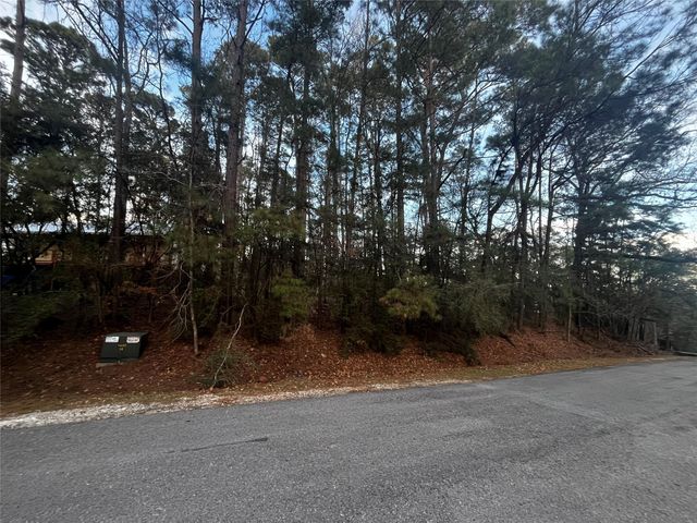 26 Sunny Hill Drive, Coldspring, TX 77331