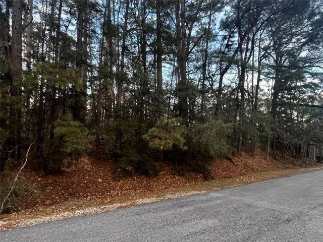 26 Sunny Hill Drive, Coldspring, TX 77331