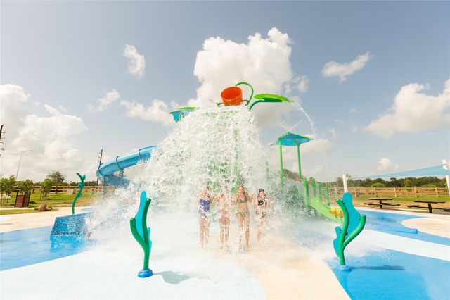 1131 Wildflower Way Drive, Beasley, TX 77417