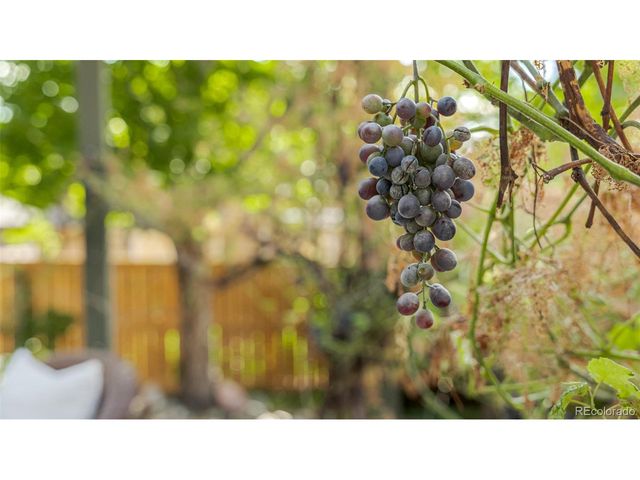 5334 Owens St, Arvada, CO 80002