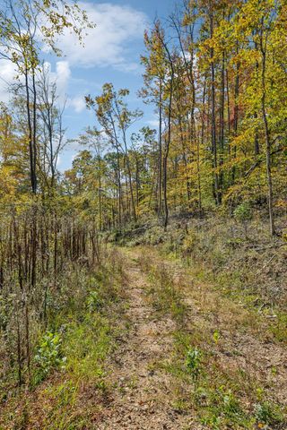 635 Cane Creek Rd, Hohenwald, TN 38462