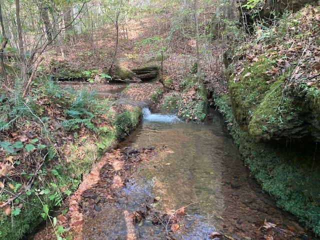 635 Cane Creek Rd, Hohenwald, TN 38462