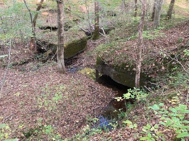 635 Cane Creek Rd, Hohenwald, TN 38462