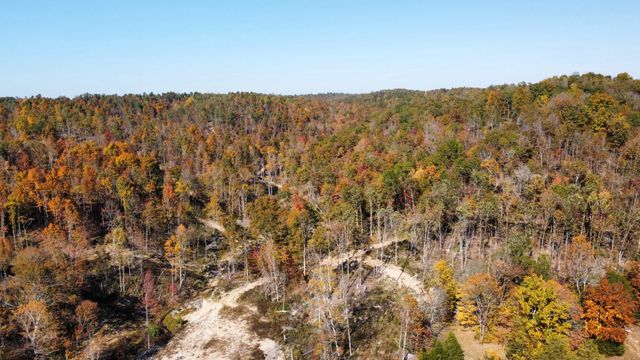 635 Cane Creek Rd, Hohenwald, TN 38462