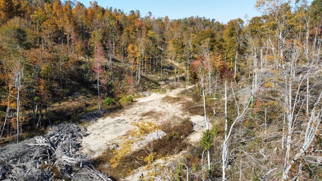 635 Cane Creek Rd, Hohenwald, TN 38462