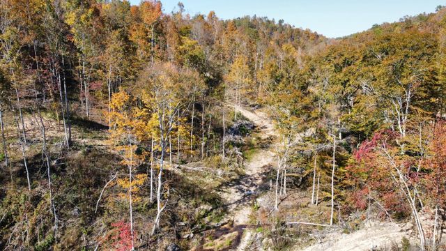 635 Cane Creek Rd, Hohenwald, TN 38462