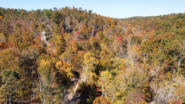 635 Cane Creek Rd, Hohenwald, TN 38462