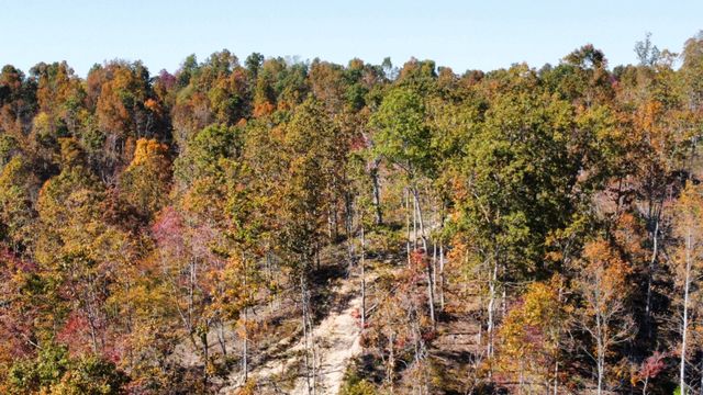 635 Cane Creek Rd, Hohenwald, TN 38462