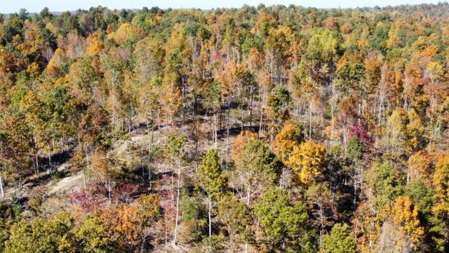 635 Cane Creek Rd, Hohenwald, TN 38462