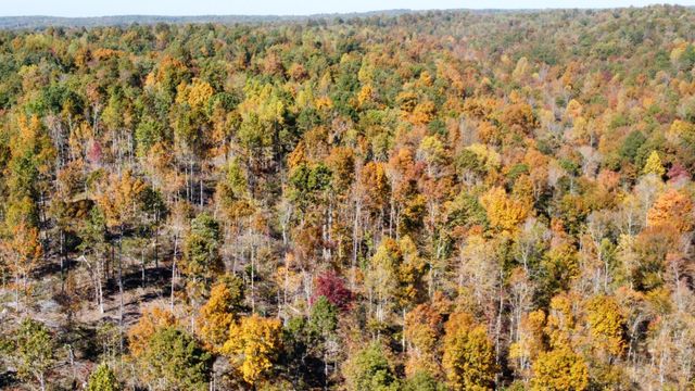 635 Cane Creek Rd, Hohenwald, TN 38462