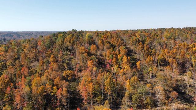 635 Cane Creek Rd, Hohenwald, TN 38462
